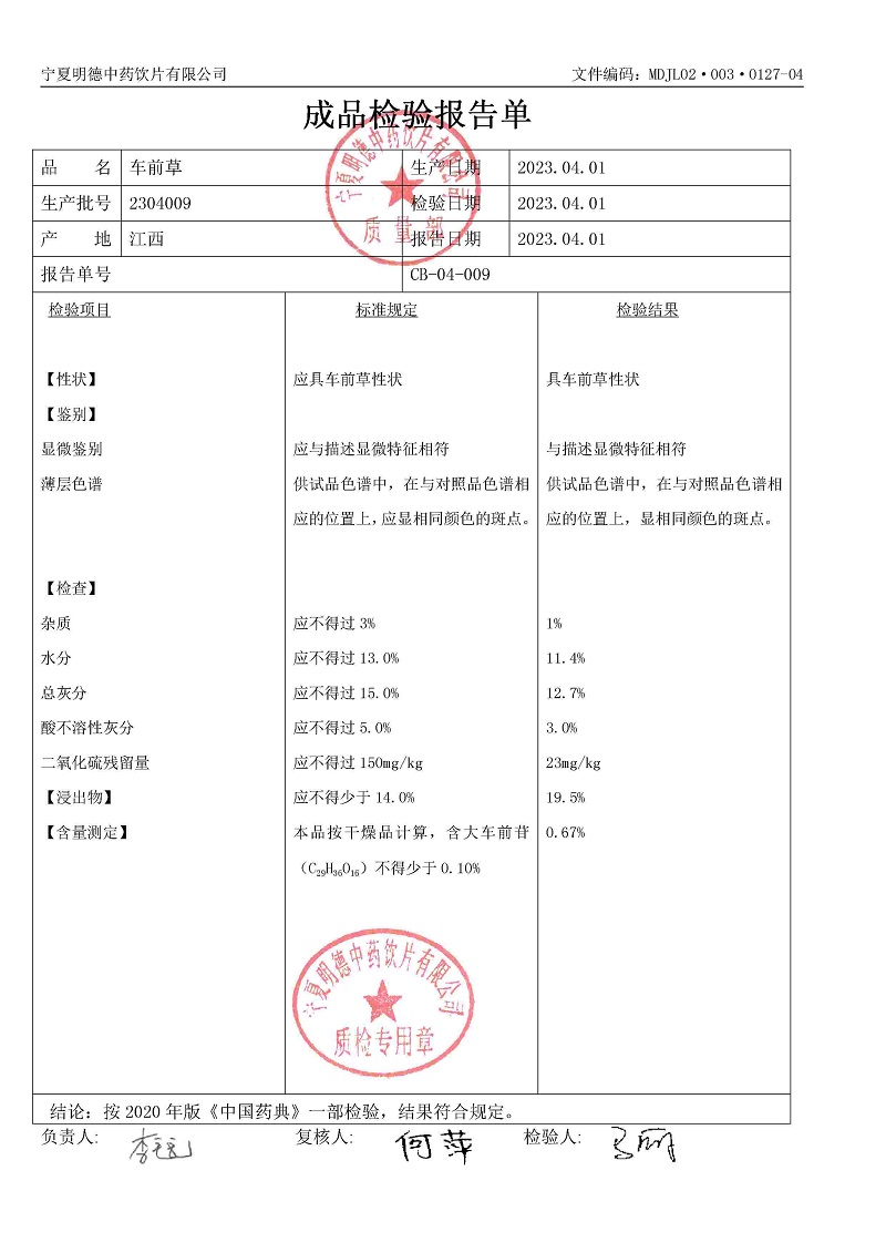2304009車前草.jpg