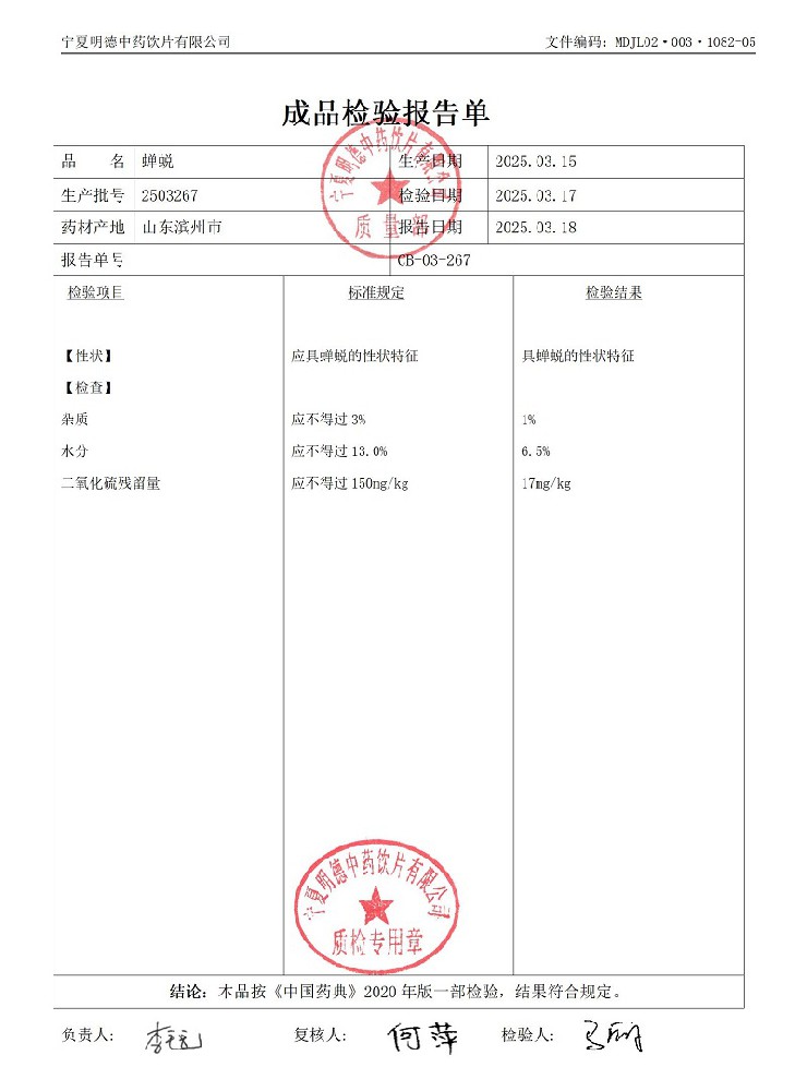 2503267蟬蛻.jpg